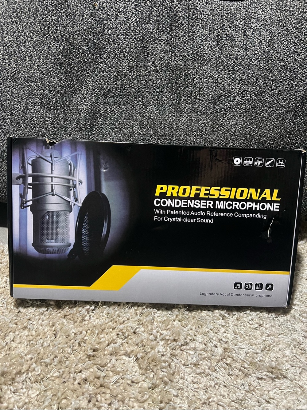 Professional Condenser Microphone - Black